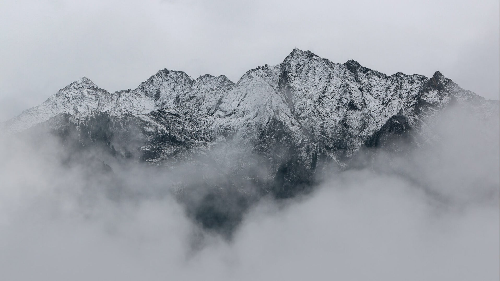 Über Ellānce Ellānce EU